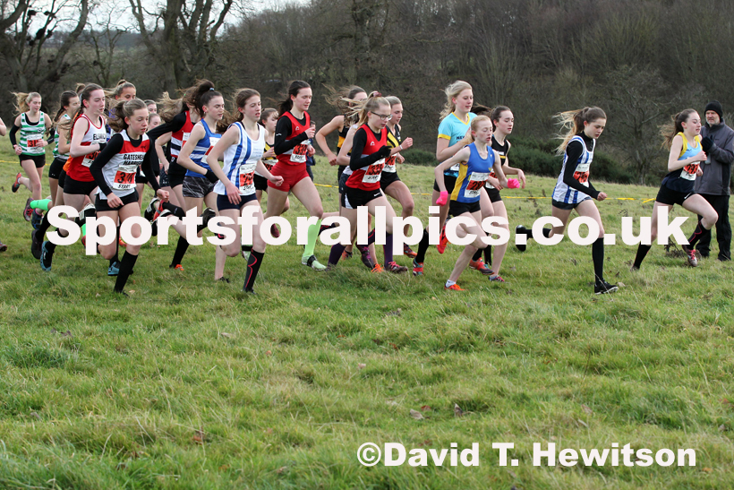 Girls under-15s cross country, 2019 North Eastern Cross Country Champs., Alnwick, Northumberland.  Photo: David T. Hewitson/Sports for All Pics